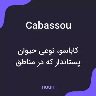 معنی cabassou به فارسی