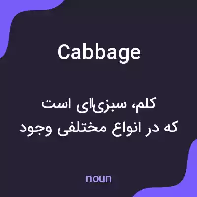 معنی cabbage به فارسی