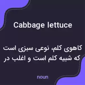 معنی cabbage lettuce به فارسی معنی cabbage lettuce به فارسی