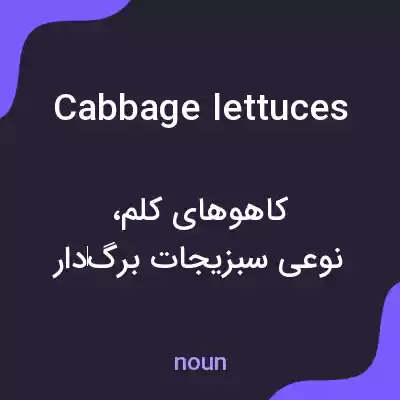 معنی cabbage lettuces به فارسی معنی cabbage lettuces به فارسی