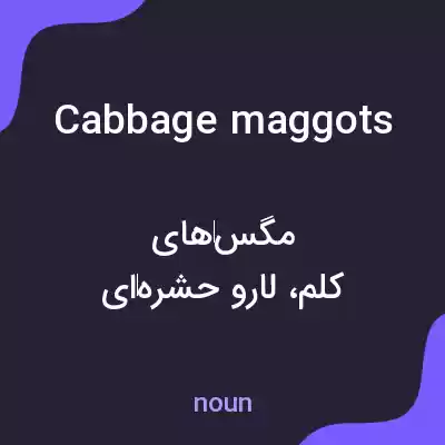 معنی cabbage maggots به فارسی معنی cabbage maggots به فارسی