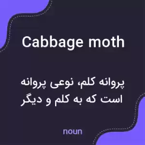 معنی cabbage moth به فارسی معنی cabbage moth به فارسی