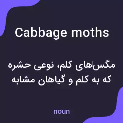 معنی cabbage moths به فارسی معنی cabbage moths به فارسی