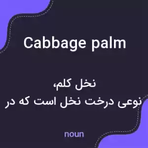 معنی cabbage palm به فارسی معنی cabbage palm به فارسی