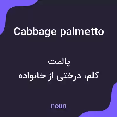 معنی cabbage palmetto به فارسی معنی cabbage palmetto به فارسی