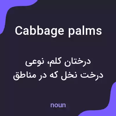 معنی cabbage palms به فارسی معنی cabbage palms به فارسی