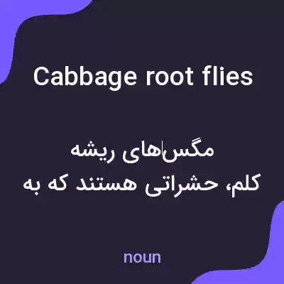 معنی cabbage root flies به فارسی معنی cabbage root flies به فارسی