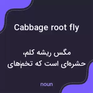 معنی cabbage root fly به فارسی معنی cabbage root fly به فارسی