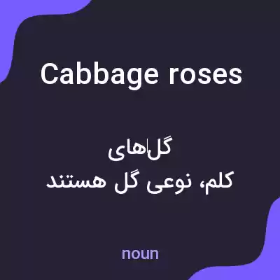 معنی cabbage roses به فارسی معنی cabbage roses به فارسی