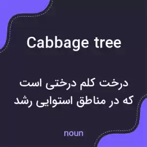 معنی cabbage tree به فارسی معنی cabbage tree به فارسی