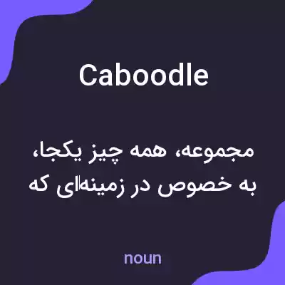 معنی caboodle به فارسی معنی caboodle به فارسی