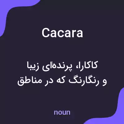 معنی cacara به فارسی