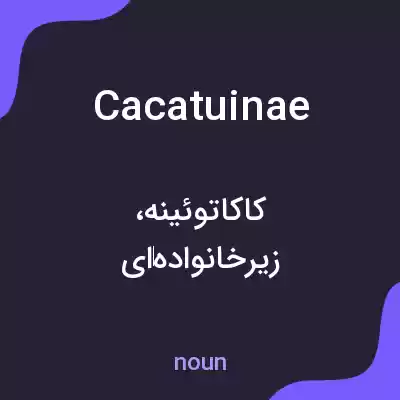معنی cacatuinae به فارسی معنی cacatuinae به فارسی