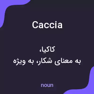 معنی caccia به فارسی