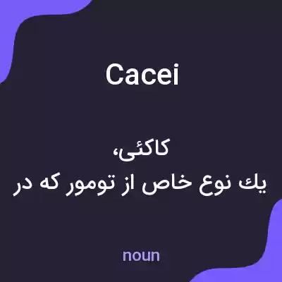 معنی cacei به فارسی
