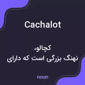 معنی cachalot به فارسی معنی cachalot به فارسی