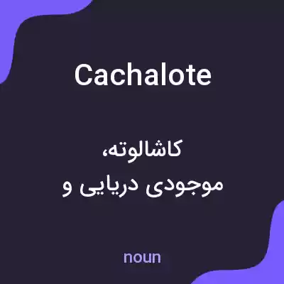 معنی cachalote به فارسی معنی cachalote به فارسی