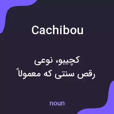 معنی cachibou به فارسی معنی cachibou به فارسی
