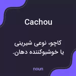 معنی cachou به فارسی معنی cachou به فارسی