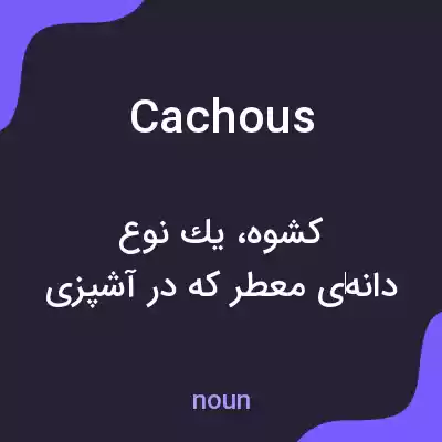 معنی cachous به فارسی معنی cachous به فارسی