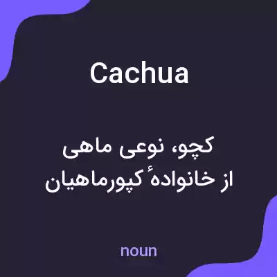 معنی cachua به فارسی معنی cachua به فارسی