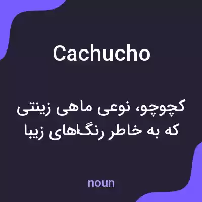 معنی cachucho به فارسی معنی cachucho به فارسی