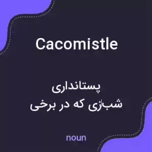 معنی cacomistle به فارسی معنی cacomistle به فارسی