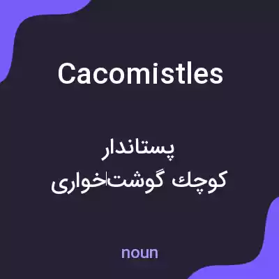 معنی cacomistles به فارسی معنی cacomistles به فارسی
