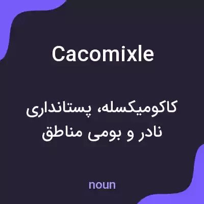 معنی cacomixle به فارسی