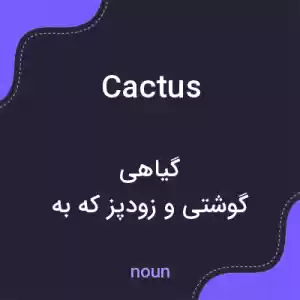 معنی cactus به فارسی معنی cactus به فارسی
