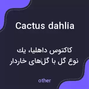 معنی cactus dahlia به فارسی معنی cactus dahlia به فارسی