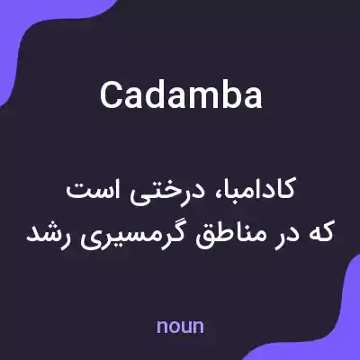 معنی cadamba به فارسی معنی cadamba به فارسی