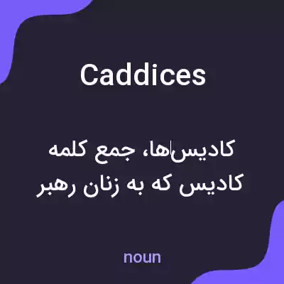 معنی caddices به فارسی معنی caddices به فارسی