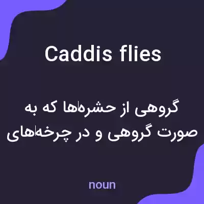 معنی caddisflies به فارسی معنی caddisflies به فارسی