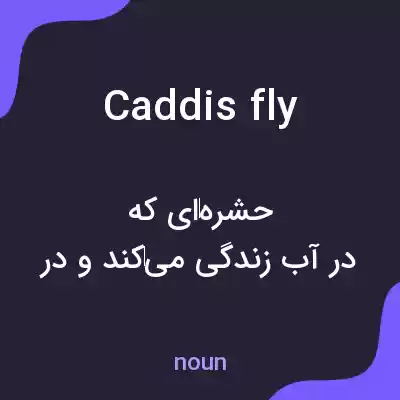 معنی caddisfly به فارسی معنی caddisfly به فارسی