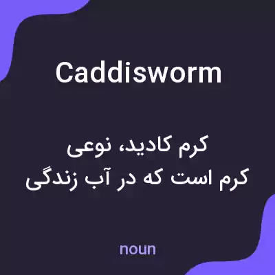 معنی caddisworm به فارسی معنی caddisworm به فارسی