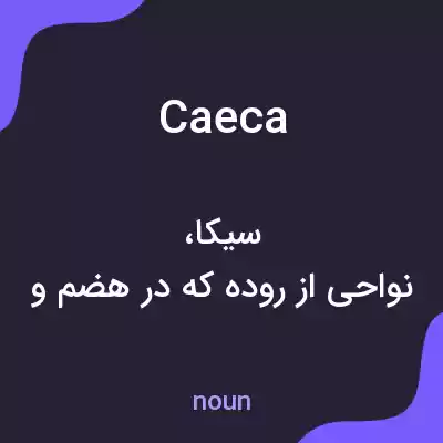 معنی caeca به فارسی معنی caeca به فارسی