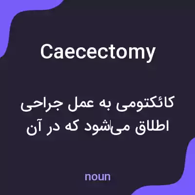 معنی caecectomy به فارسی معنی caecectomy به فارسی