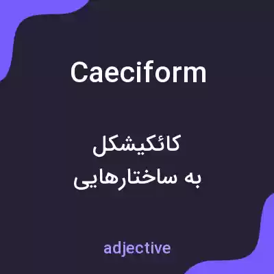 معنی caeciform به فارسی معنی caeciform به فارسی