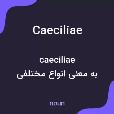 معنی caeciliae به فارسی معنی caeciliae به فارسی