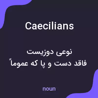 معنی caecilians به فارسی معنی caecilians به فارسی