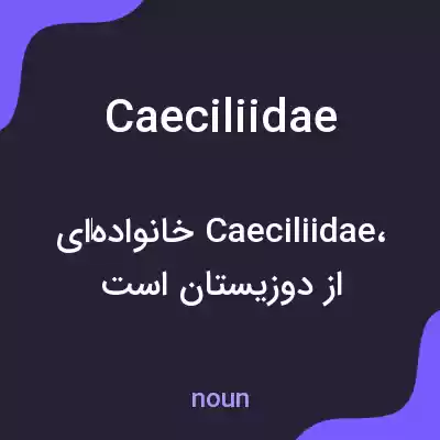 معنی caeciliidae به فارسی معنی caeciliidae به فارسی