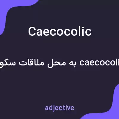 معنی caecocolic به فارسی معنی caecocolic به فارسی