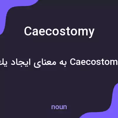 معنی caecostomy به فارسی معنی caecostomy به فارسی
