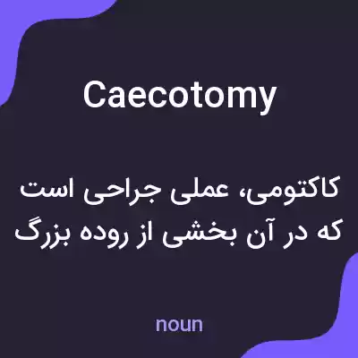 معنی caecotomy به فارسی معنی caecotomy به فارسی