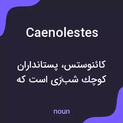 معنی caenolestes به فارسی