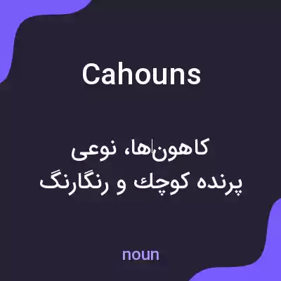 معنی cahouns به فارسی معنی cahouns به فارسی