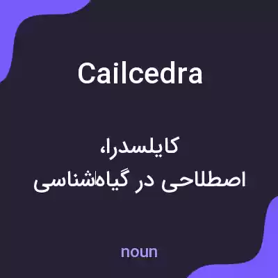 معنی cailcedra به فارسی معنی cailcedra به فارسی
