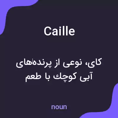 معنی caille به فارسی معنی caille به فارسی