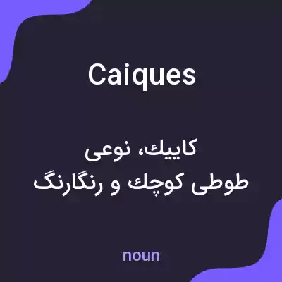 معنی caiques به فارسی